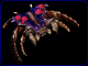 Connect to the Internet if you can't see this image.