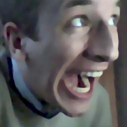 screamer